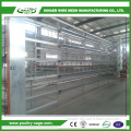 Animal & Poultry Husbandry Equipment chicken cage equipment for sales